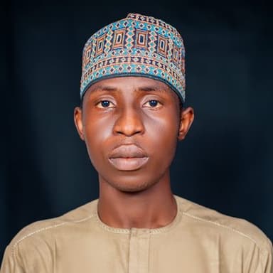 Muhammad Idris Abubakar, Lead Developer at KrediNou